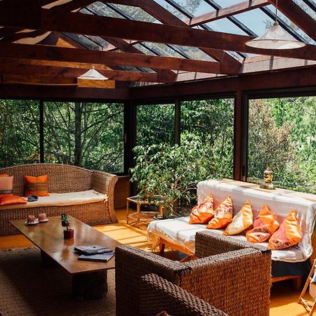 Готель Kawai Purapura Yoga Retreat Centre Окленд Екстер'єр фото